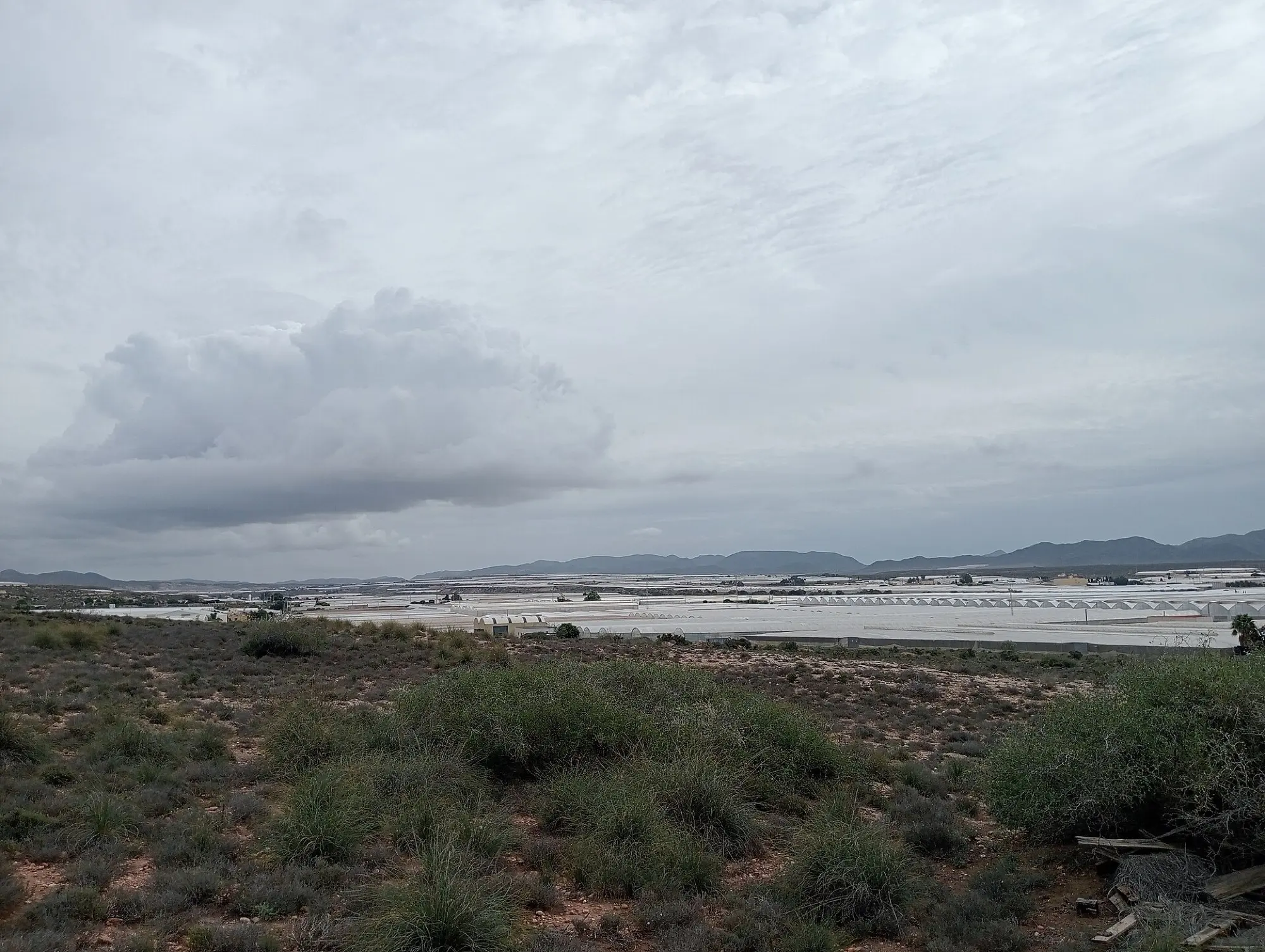 Llanura de invernaderos en la provincia de Almería